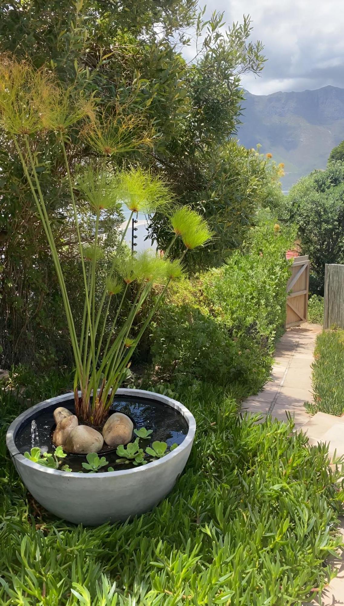 Beautiful View Garden Apartment ケープタウン エクステリア 写真